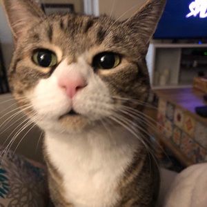 Meet your Posher, Marcy